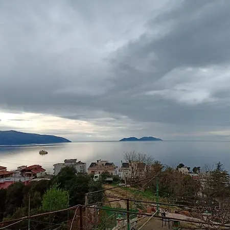 Leko ゲストハウス Vlorë